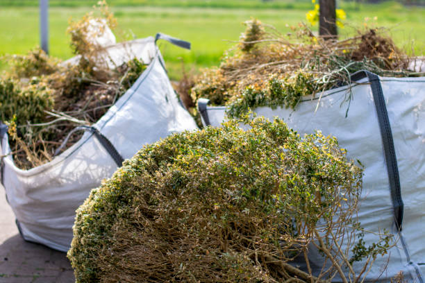 Best Electronics Removal Services  in Justin, TX